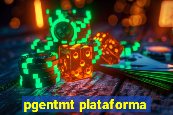 pgentmt plataforma