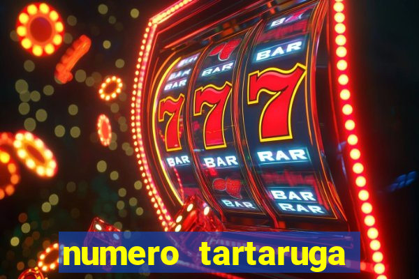 numero tartaruga jogo do bicho