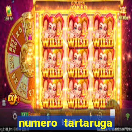 numero tartaruga jogo do bicho