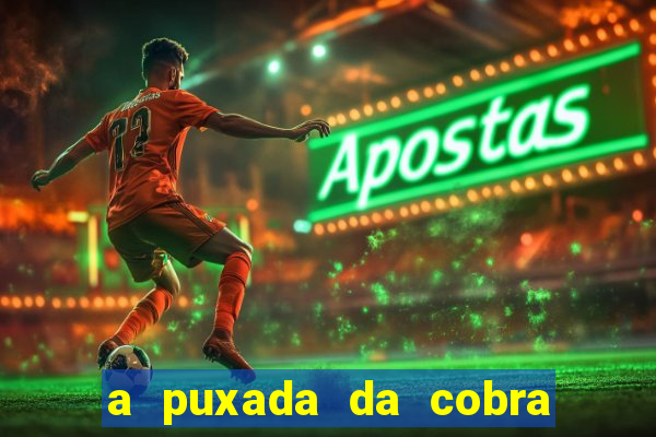 a puxada da cobra no jogo do bicho