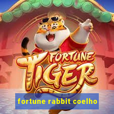 fortune rabbit coelho