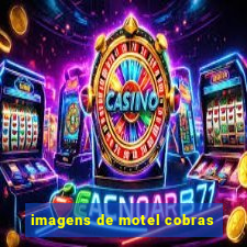 imagens de motel cobras