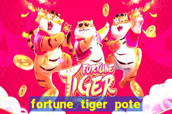 fortune tiger pote de ouro completo