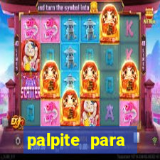 palpite para corujinha de hoje