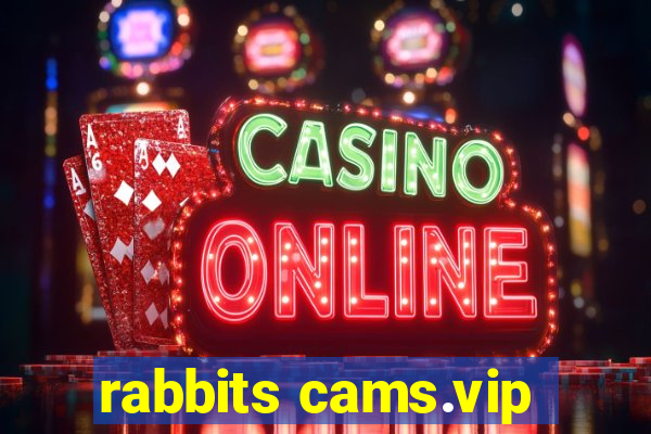 rabbits cams.vip