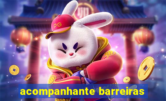 acompanhante barreiras