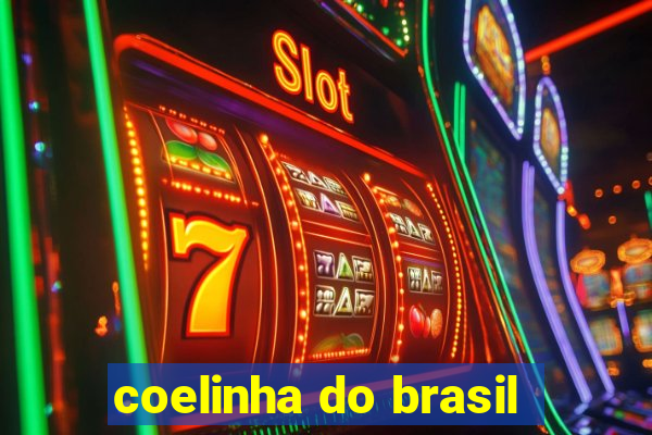 coelinha do brasil