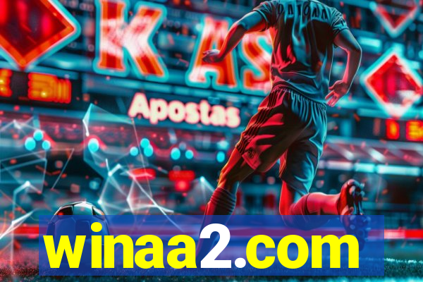 winaa2.com