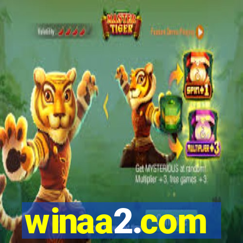 winaa2.com