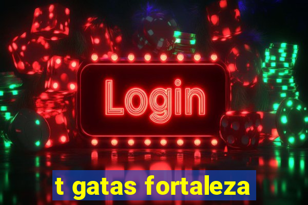 t gatas fortaleza