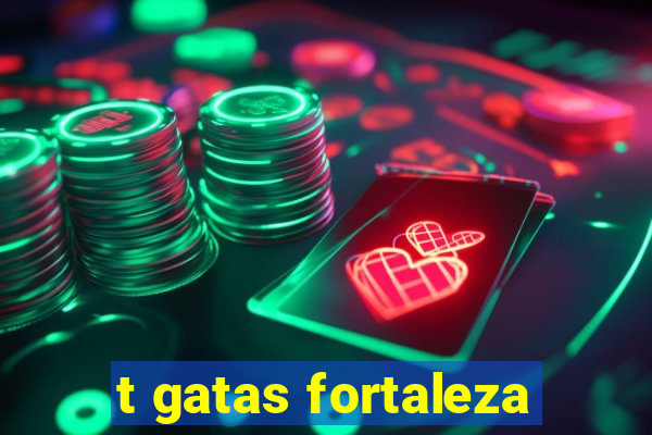 t gatas fortaleza