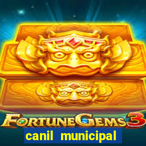 canil municipal porto alegre