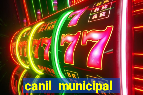 canil municipal porto alegre