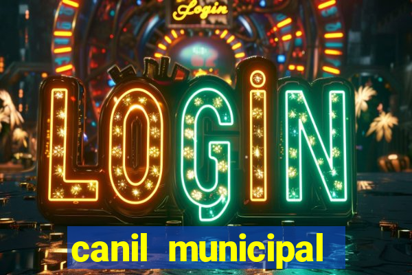 canil municipal porto alegre