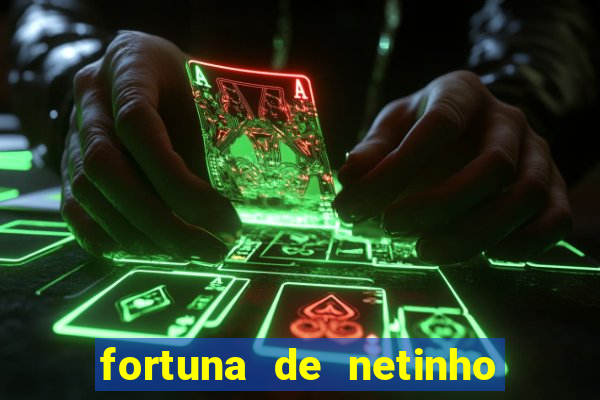 fortuna de netinho de paula