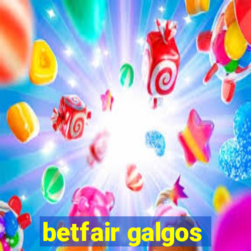 betfair galgos