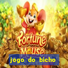 jogo do bicho documentario globoplay