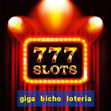 giga bicho loteria dos sonhos