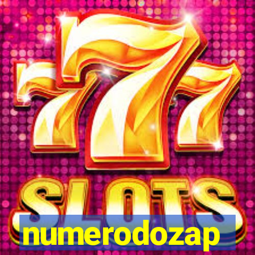 numerodozap