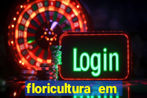 floricultura em franca sp