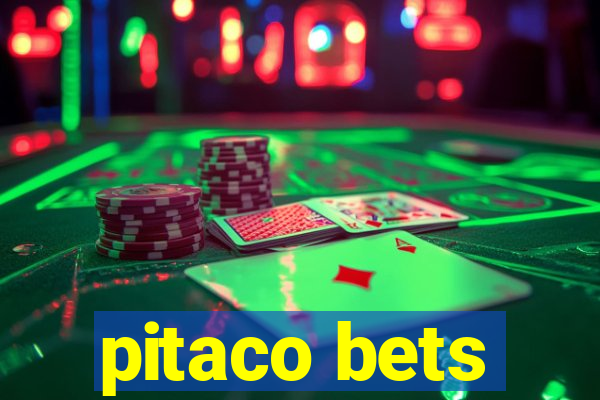 pitaco bets