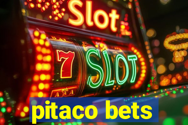 pitaco bets