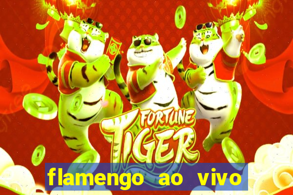 flamengo ao vivo multi tv