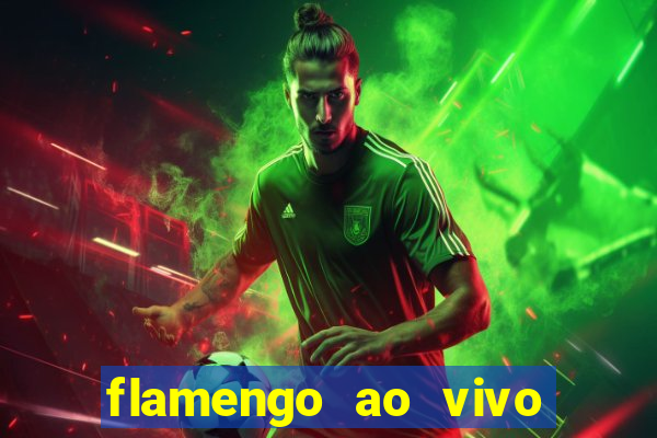 flamengo ao vivo multi tv