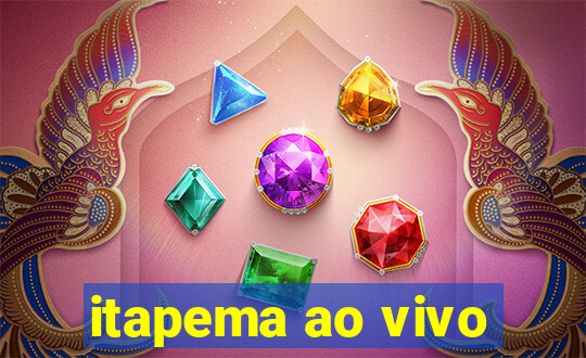 itapema ao vivo