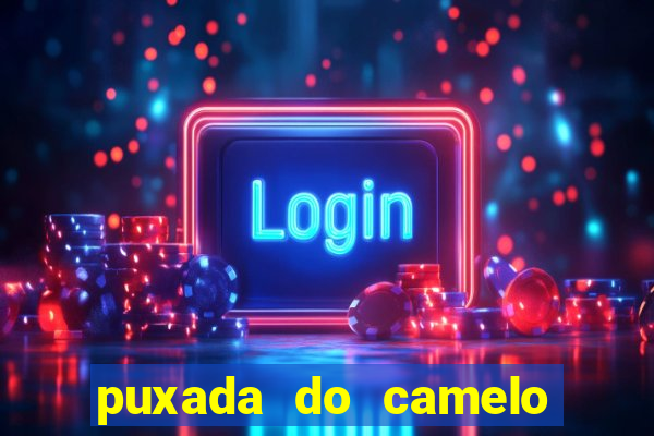 puxada do camelo jogo do bicho