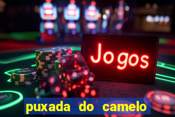 puxada do camelo jogo do bicho