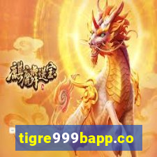 tigre999bapp.com