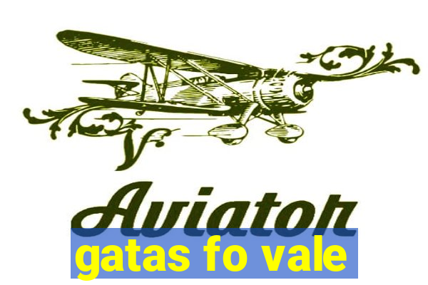 gatas fo vale