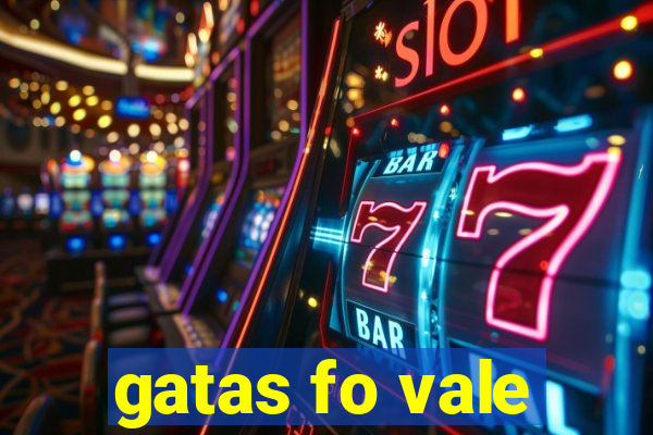 gatas fo vale