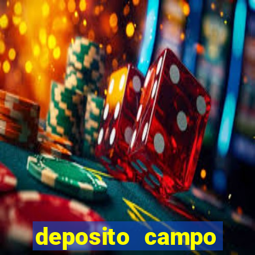 deposito campo grande santos