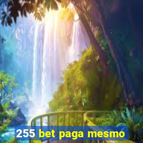 255 bet paga mesmo