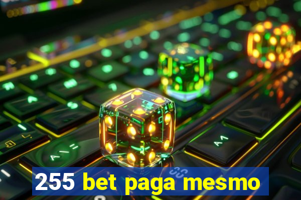 255 bet paga mesmo