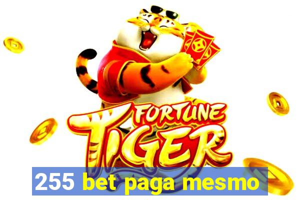 255 bet paga mesmo