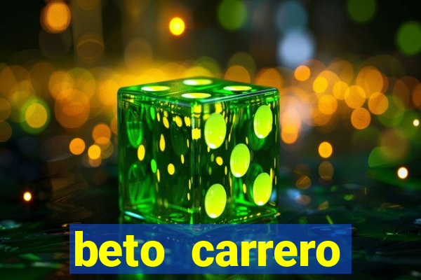 beto carrero cidades proximas