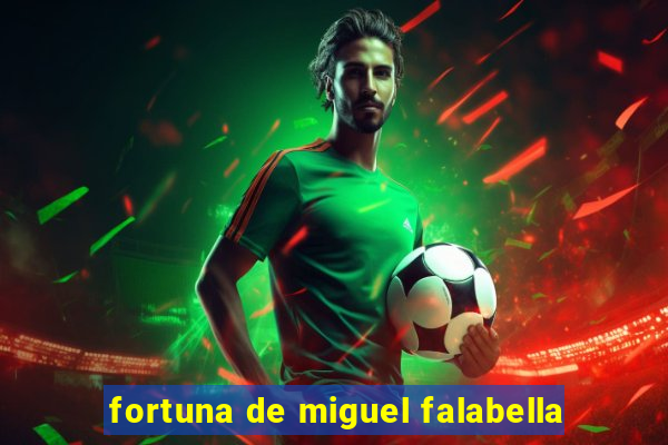 fortuna de miguel falabella