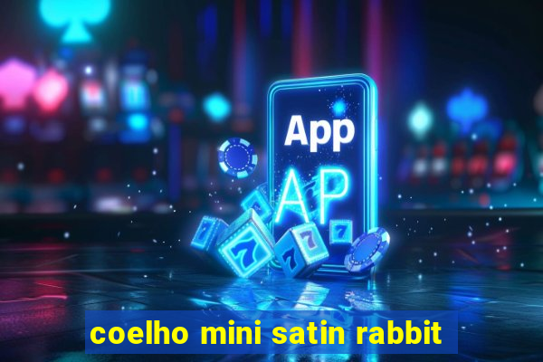 coelho mini satin rabbit