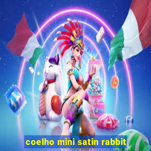 coelho mini satin rabbit