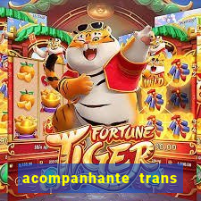 acompanhante trans de santos