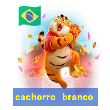 cachorro branco desenho animado