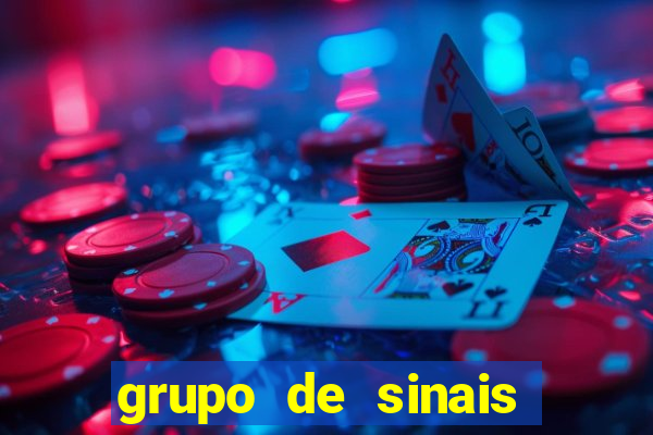 grupo de sinais fortune rabbit