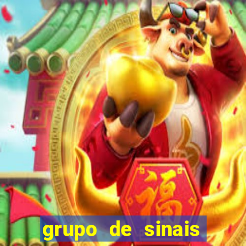 grupo de sinais fortune rabbit