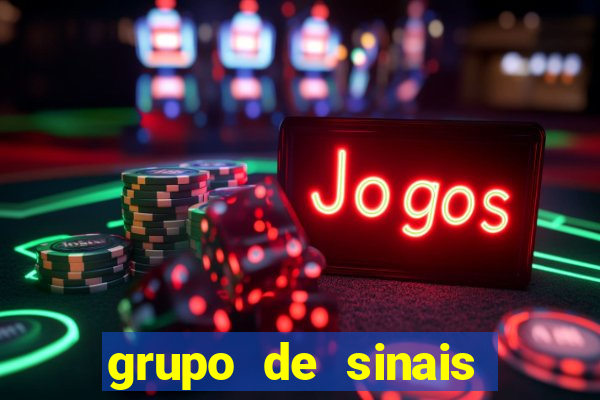 grupo de sinais fortune rabbit