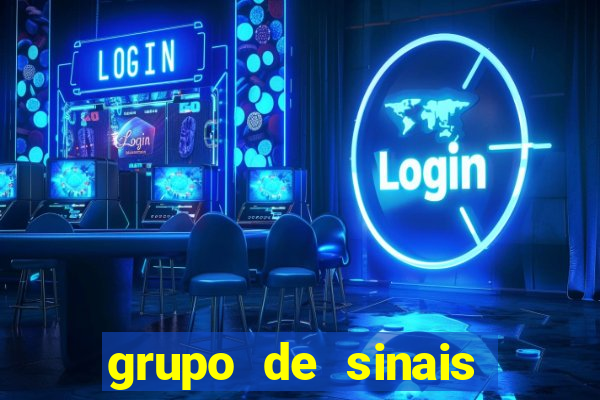 grupo de sinais fortune rabbit